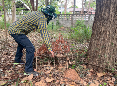 กิจกรรม “บ้านเมืองสะอาด บูชาคุณย่าโม” พารามิเตอร์รูปภาพ 24